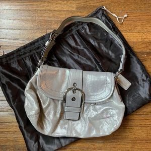 Soft Leather Metallic Coach Bag